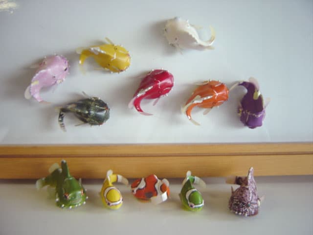 ♯Ivi06QtネイチャーMONOダンゴウオマグネットストラップ全16種