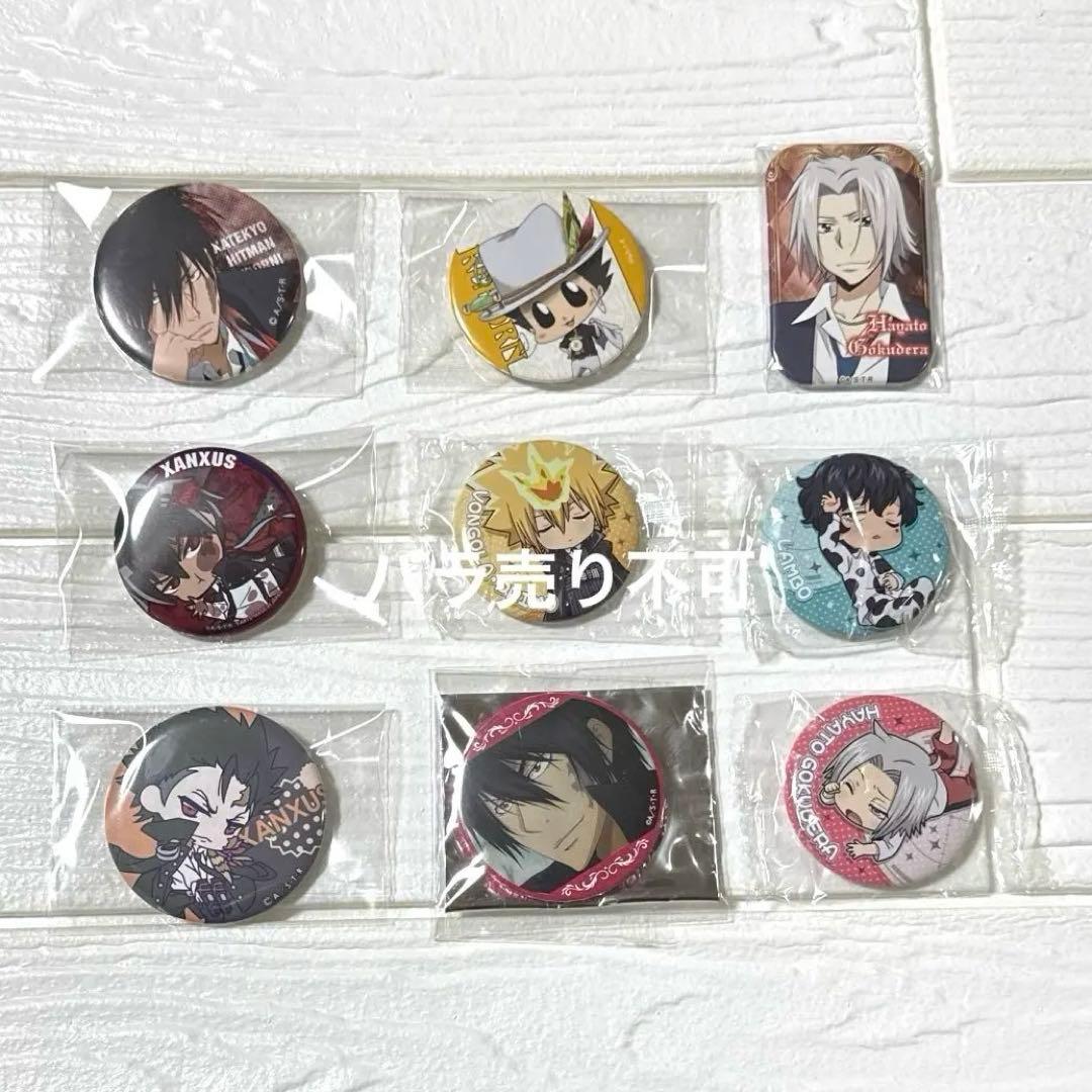 REBORN 缶バッジ　まとめ売り　ザンザス多め