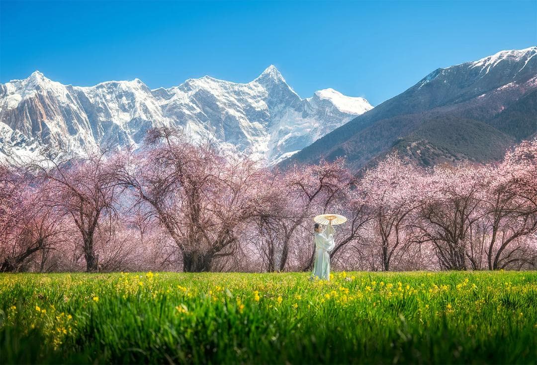 『新品未開封』GM超え VIltrox 35mm F1.2超大口径レンズ