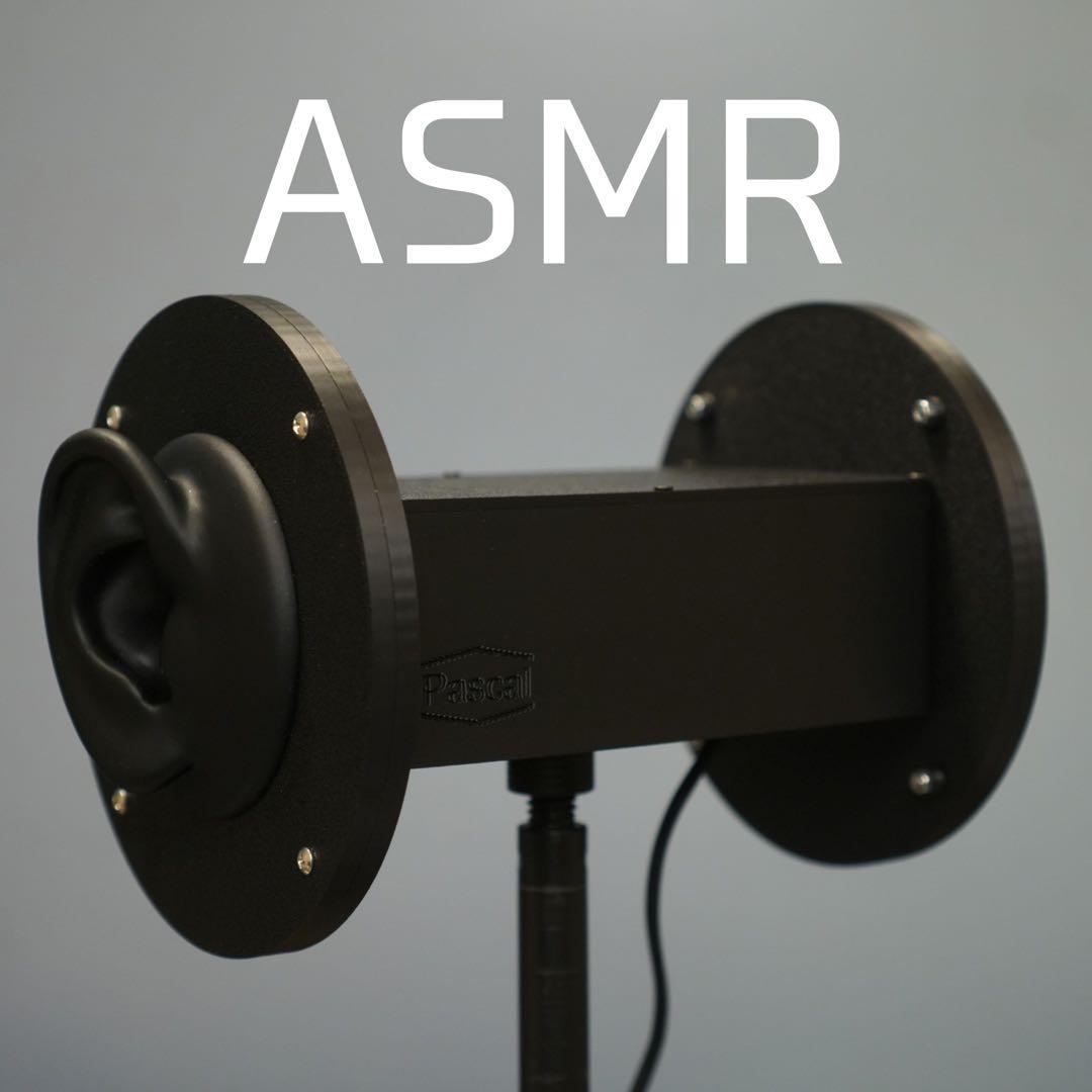 バイノーラルマイク BK 最上位モデル