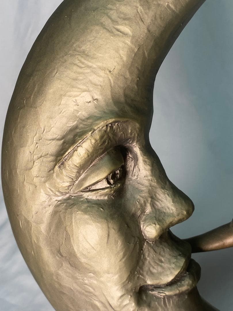 2540❣️ アリス・ヒース作　「トーキング・トゥ・ザ・ムーン