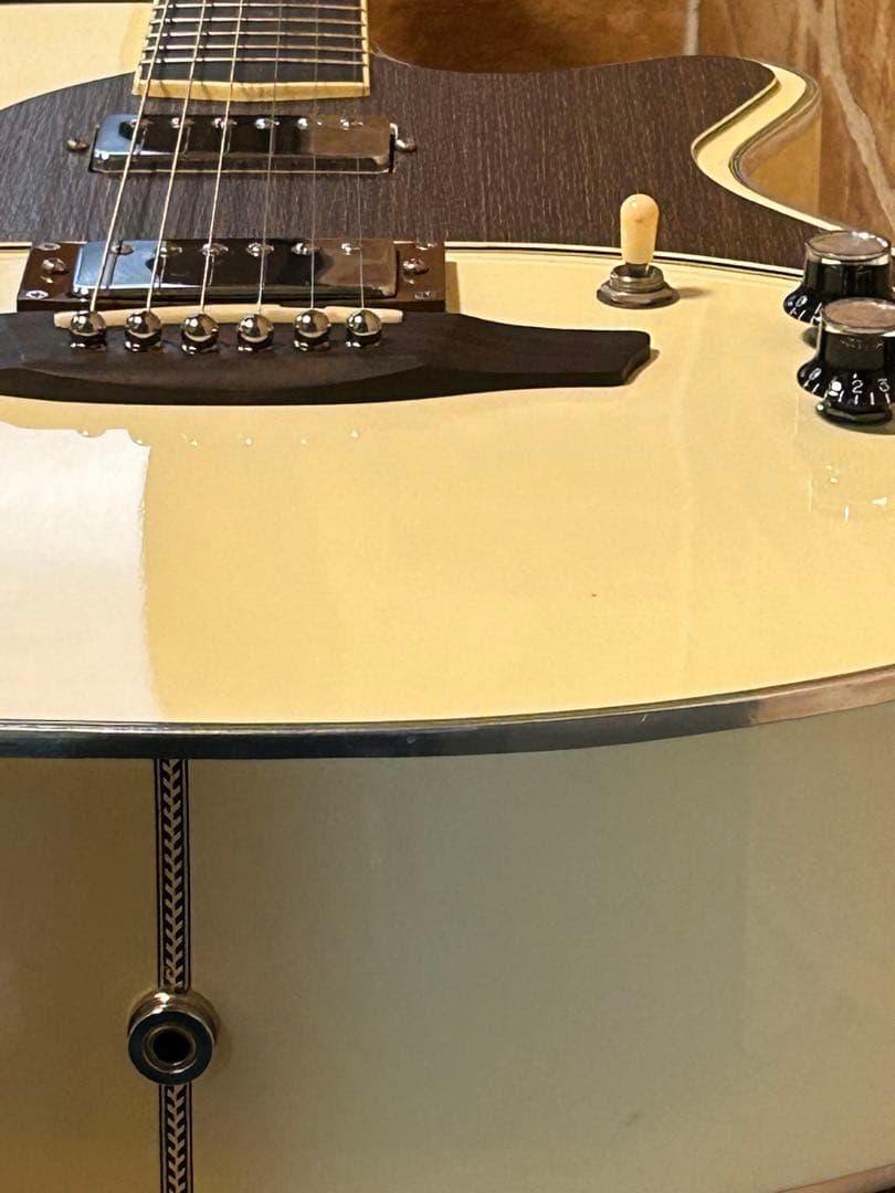 STRINBERG フルアコ化リメイクギター