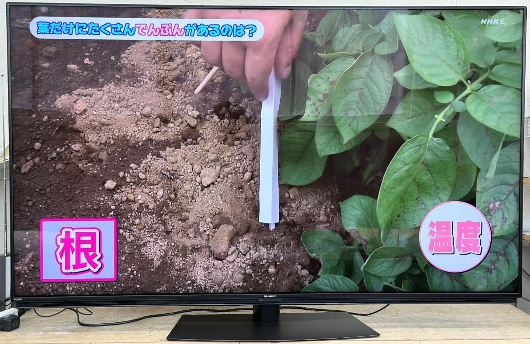 ■SHARP■4K　液晶テレビ　4T-C60CN1　60インチ　2020年製