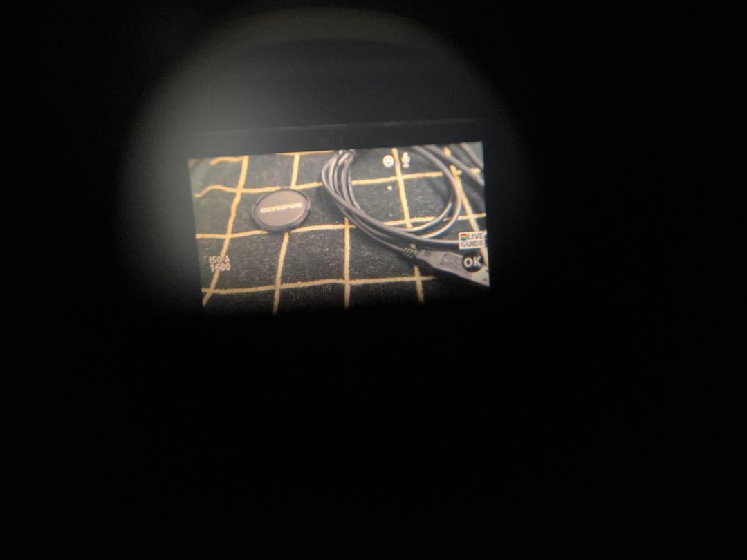 OLYMPUS PEN E-P5 動作確認済 付属品多数オマケ付き