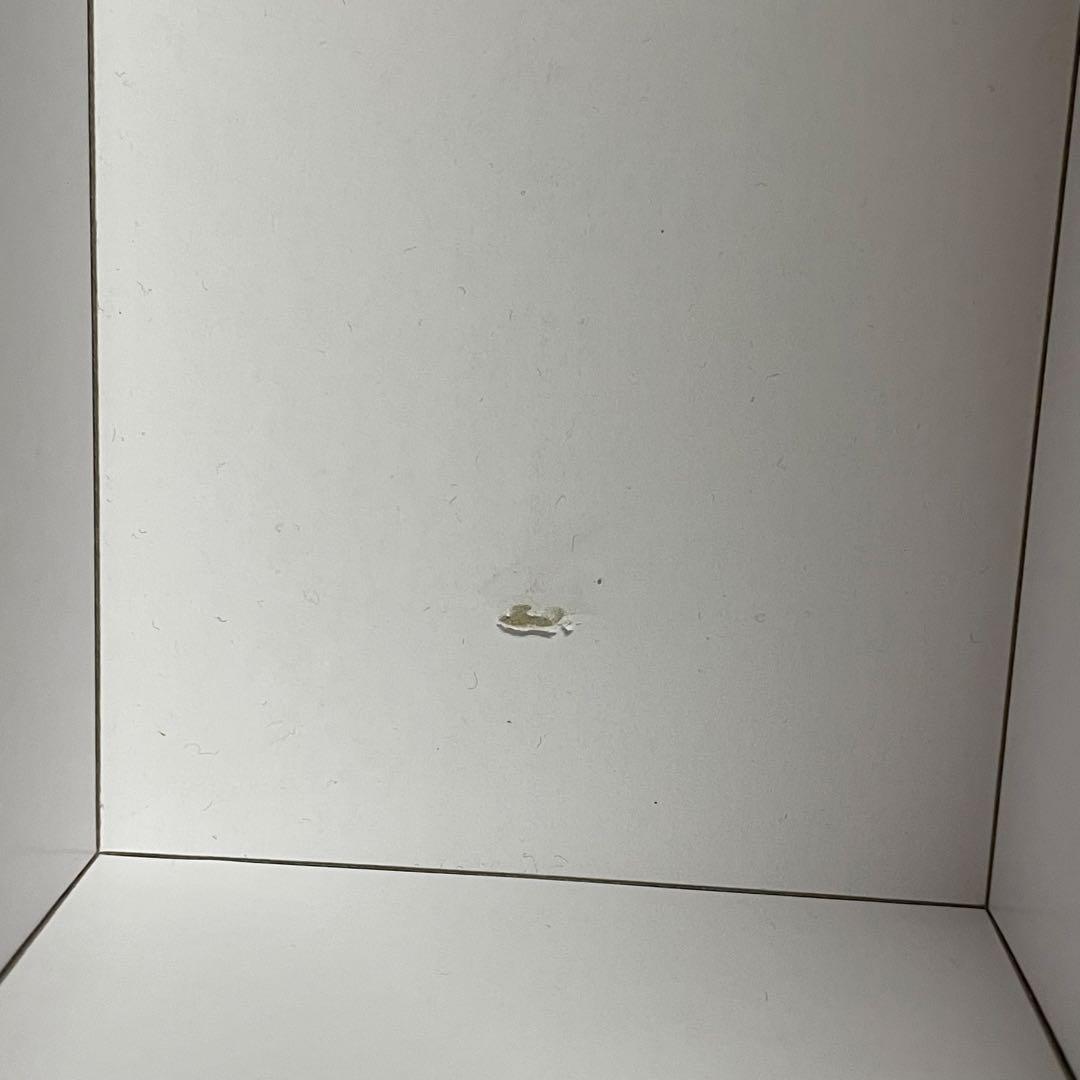 【レア】ASTRO ペンライト ロボン ver1