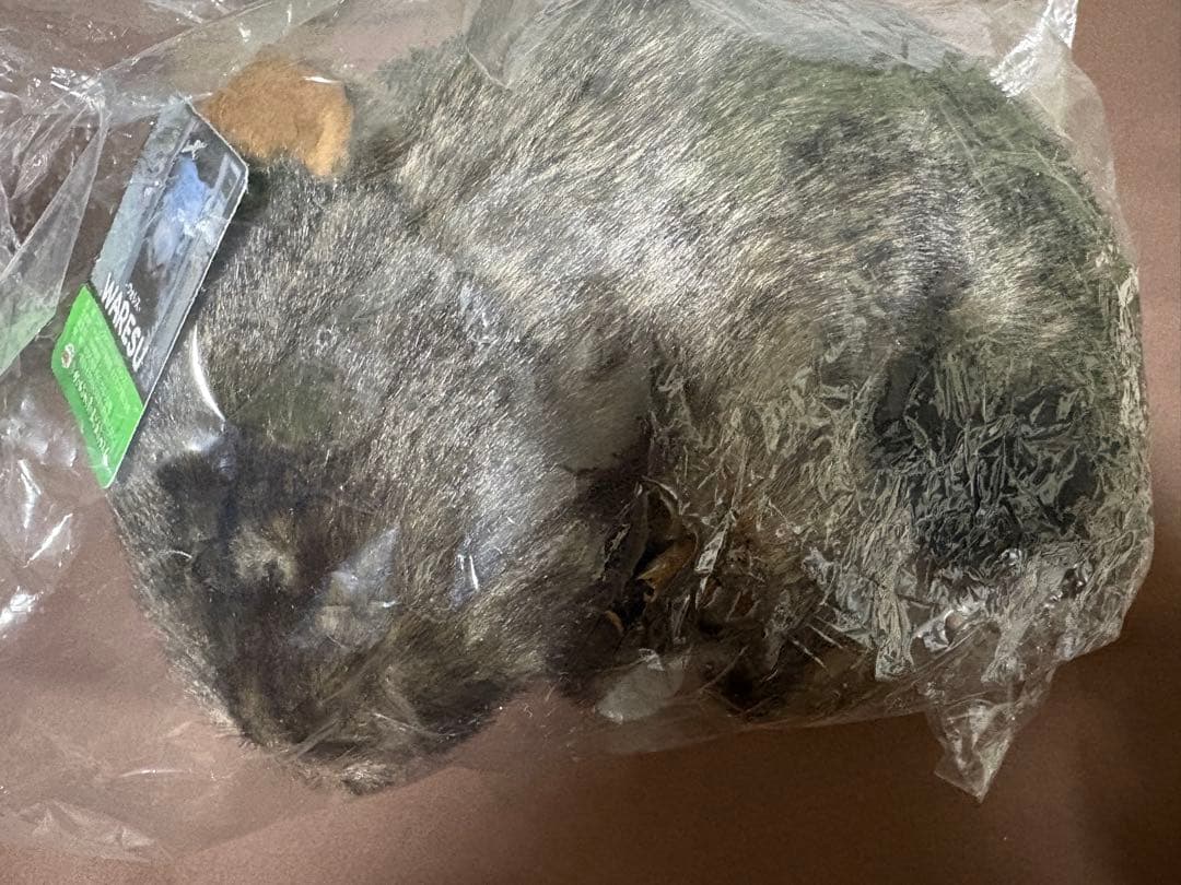 茶臼山動物園　ウォンバット　ぬいぐるみ ウォレス モモコ