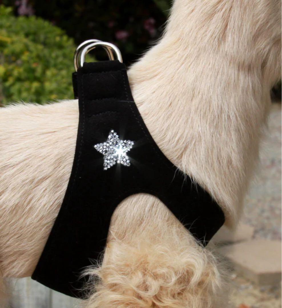 Susan Lanci スーザンランシー　ハーネス　RED XS セレブブランド