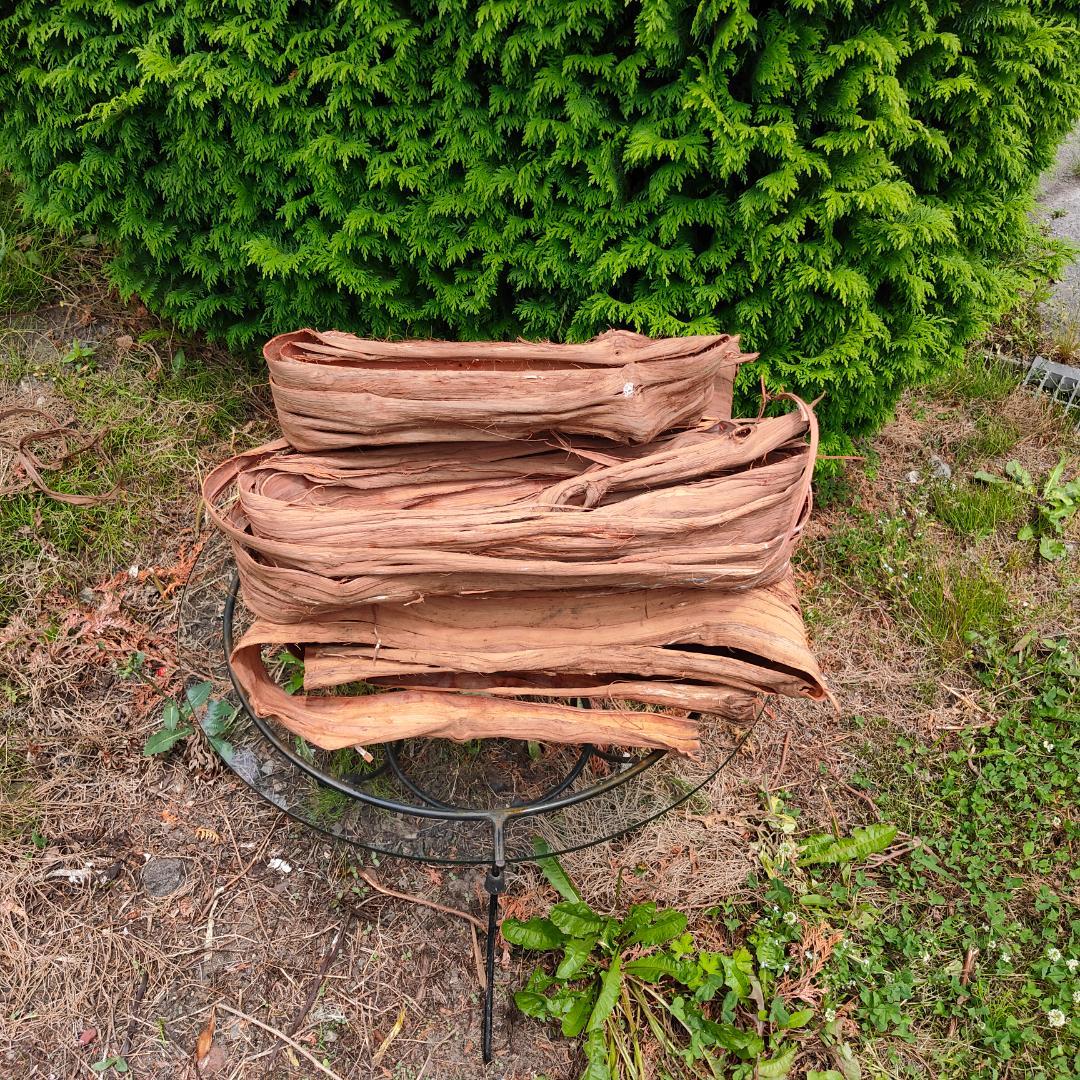 青森岩木山産 山葡萄 皮 樹皮 約2kg