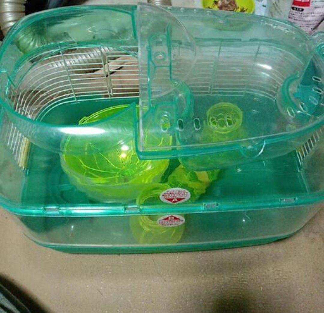 多頭飼育していて