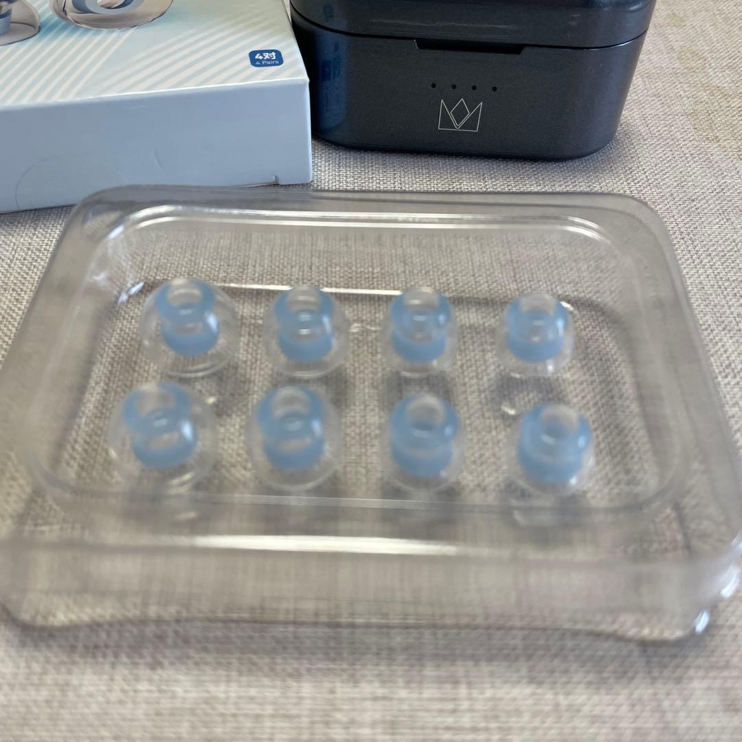 noble Falcon Max 高級イヤピース付き メンテナンスおまけ付き