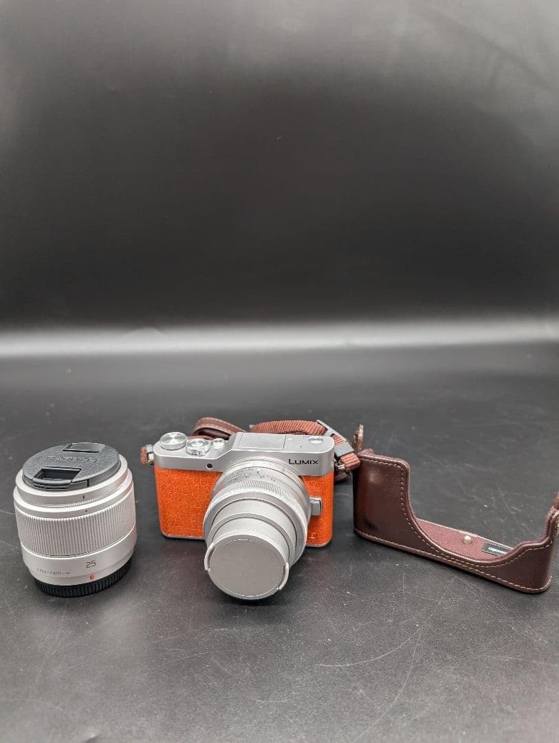 Panasonic LUMIX G ミラーレス一眼カメラ DC-GF9