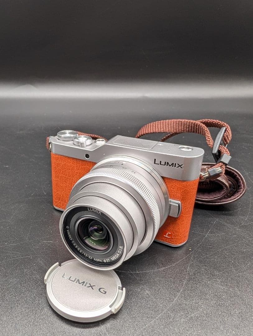 Panasonic LUMIX G ミラーレス一眼カメラ DC-GF9