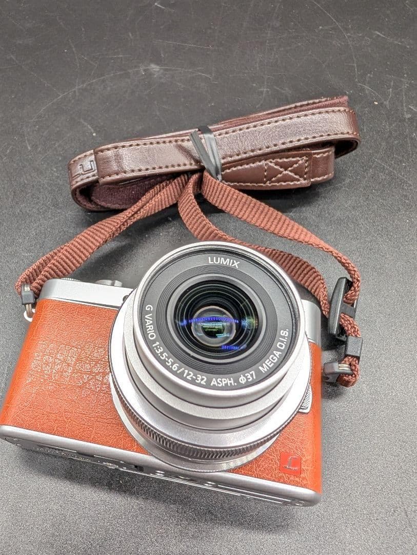 Panasonic LUMIX G ミラーレス一眼カメラ DC-GF9