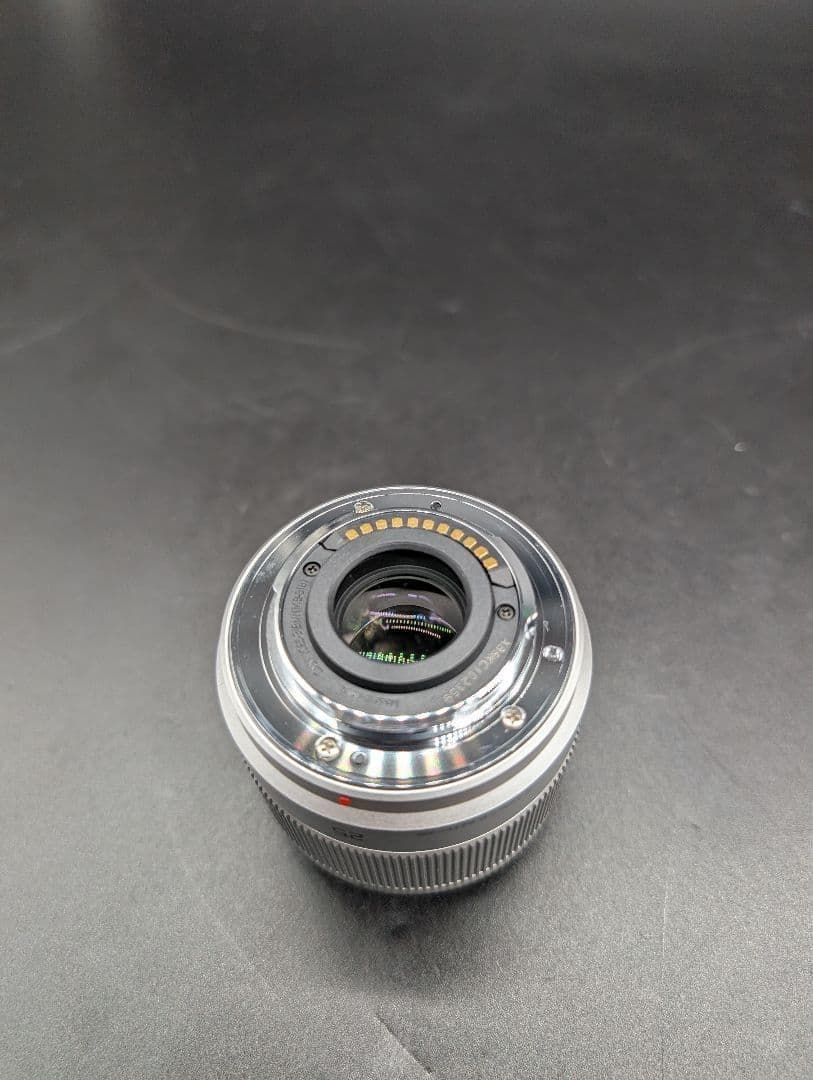 Panasonic LUMIX G ミラーレス一眼カメラ DC-GF9