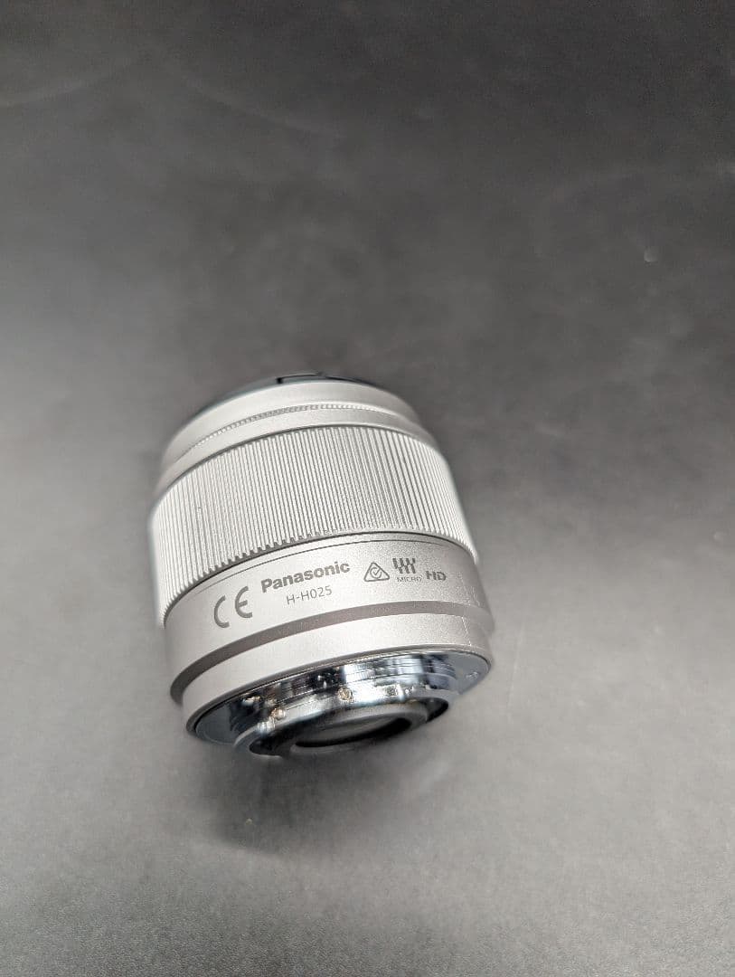 Panasonic LUMIX G ミラーレス一眼カメラ DC-GF9