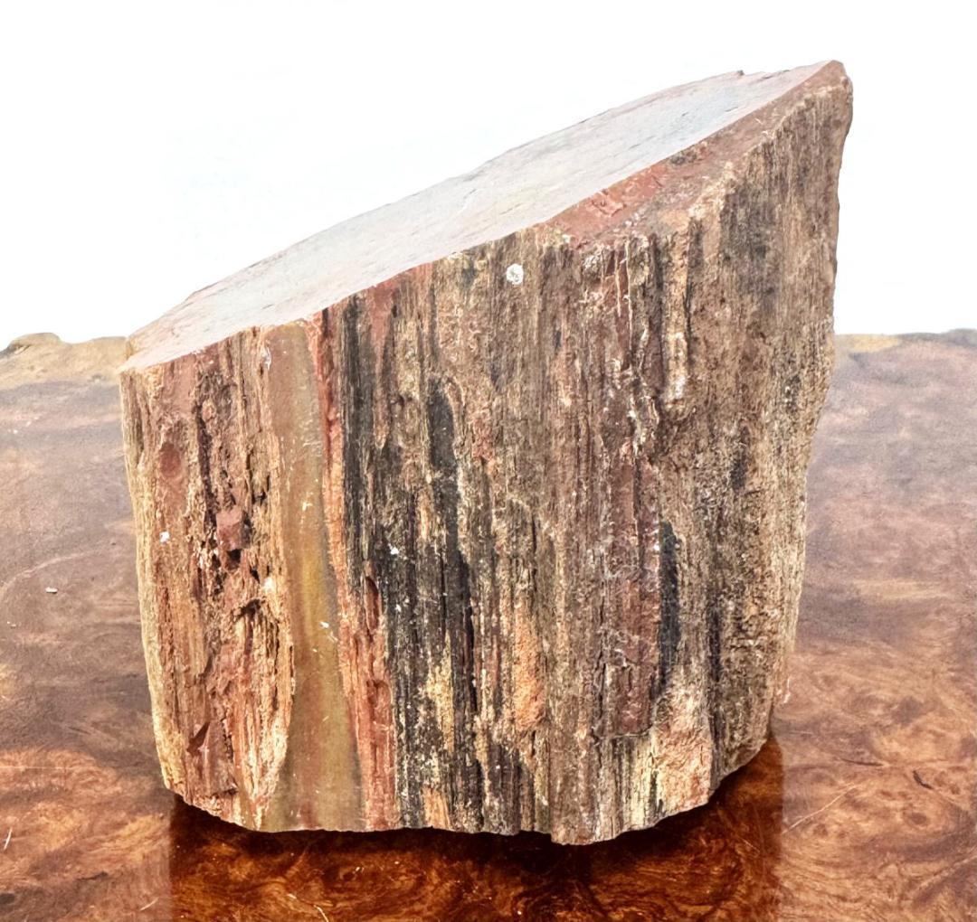 木化石 珍品 瑪瑙化置物 原石 約2kg 唐木 華道 茶道入手困難WWFT082