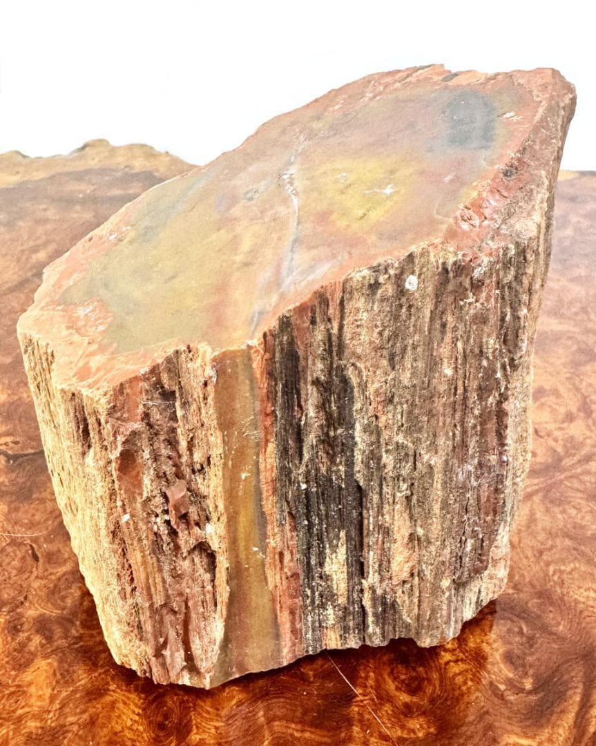 木化石 珍品 瑪瑙化置物 原石 約2kg 唐木 華道 茶道入手困難WWFT082