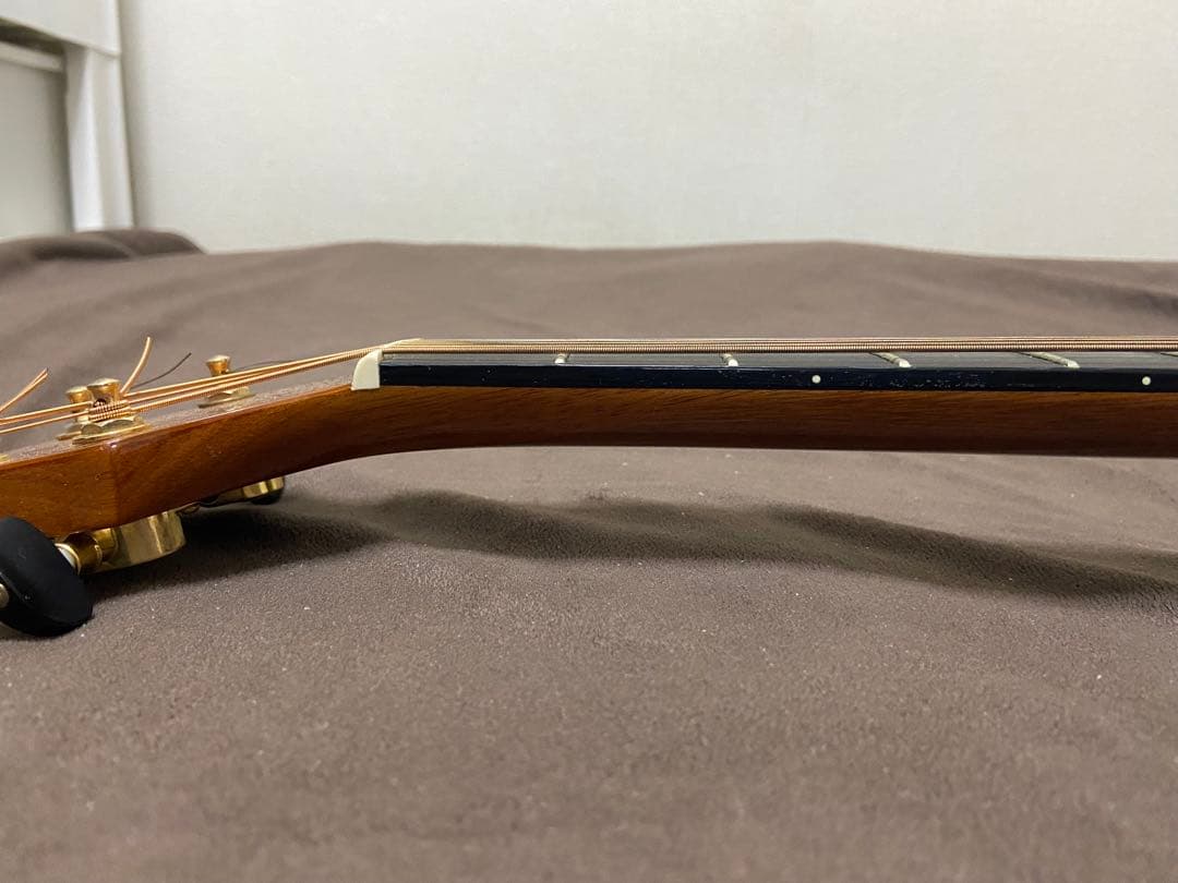 Samick TAJ-1 アコースティックギター