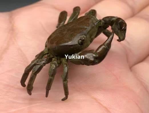 銅細工 蟹 八方来財 書道具 文房具 装飾品 工芸品 美術品 置物