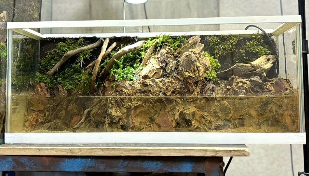 滝の流れるアクアテラリウム　イモリウム　No.1121