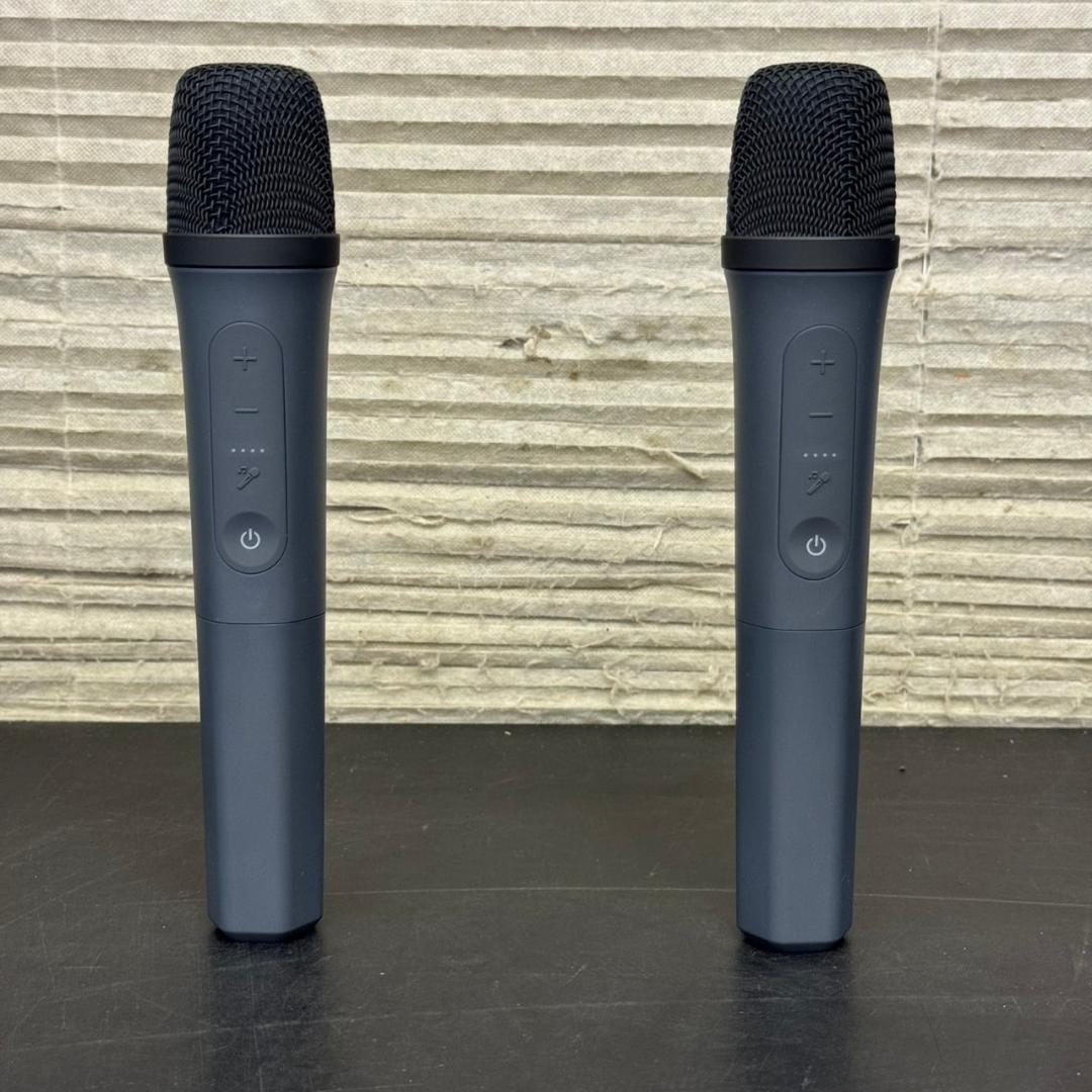 ☆Anker　SOUNDCORE　RAVE3　カラオケスピーカー　BTスピーカー