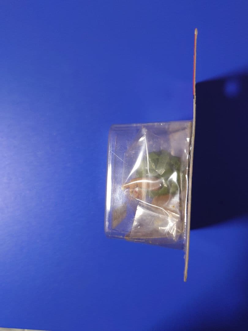 タカラトミー ゴローニャ MC-65 フィギュア