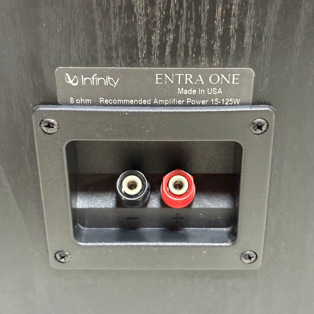 ✨希少✨ Infinity インフィニティ ENTRA ONE ペアスピーカー