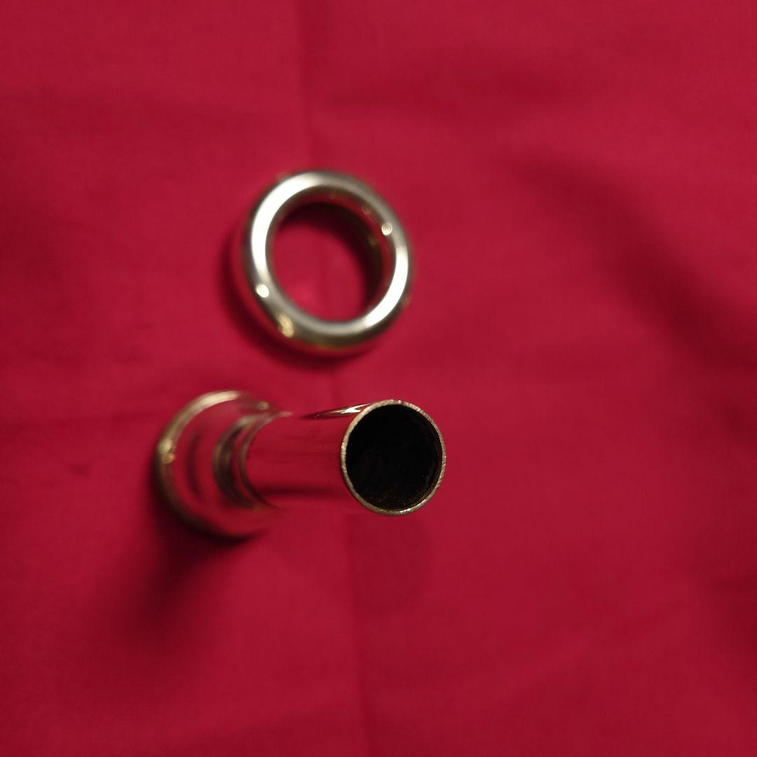 GIARDINELLI NEW YORK SYMPHONY Tレミントンシャンク