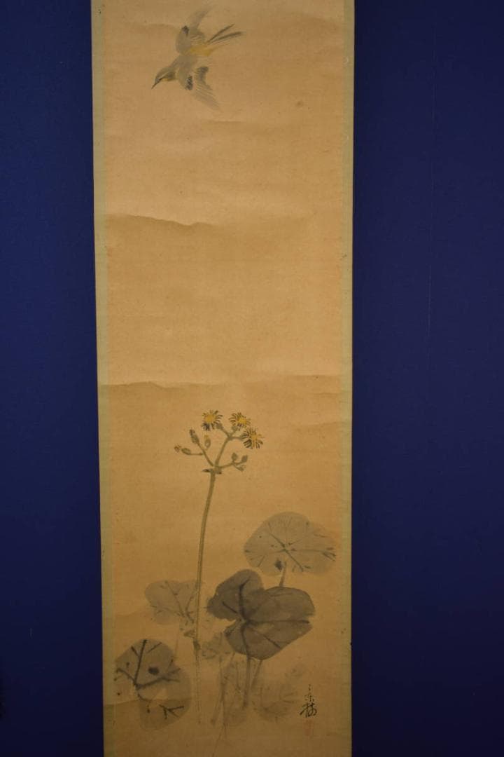 真作/今井景樹/蕗/小禽図/フキ/布袋屋掛軸HI-903