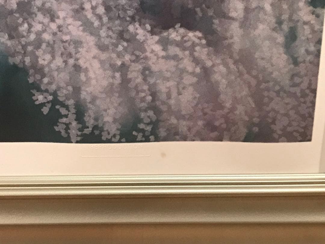 東山魁夷　「花明り」　新復刻画　落款・エディション・作品証明シール有り