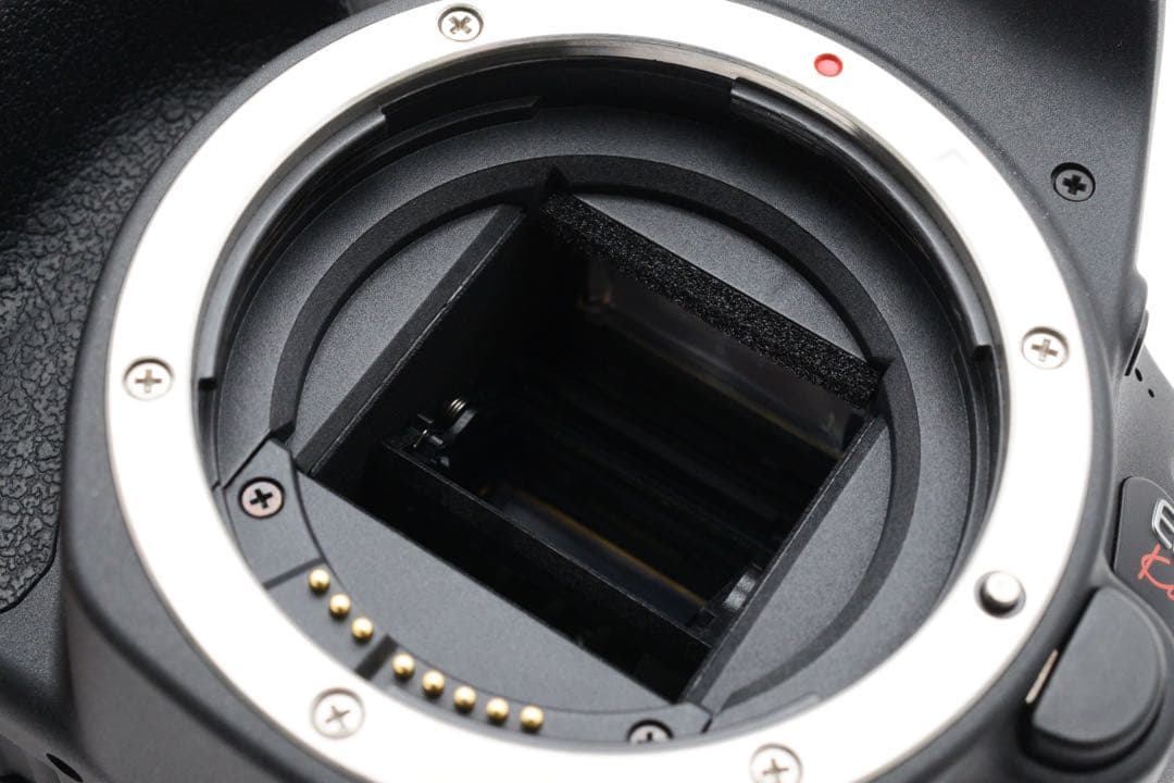 保証付き/canon kiss x9/標準&望遠ダブルレンズセット