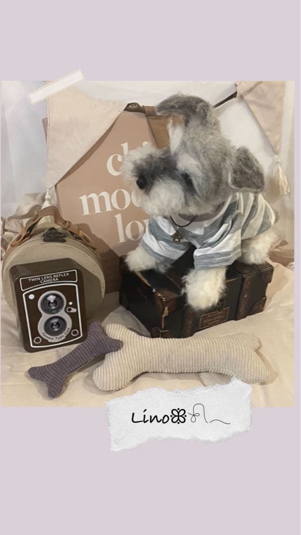 ‪ஐ‬ 羊毛フェルト੯•`໒ ミニチュアシュナウザー