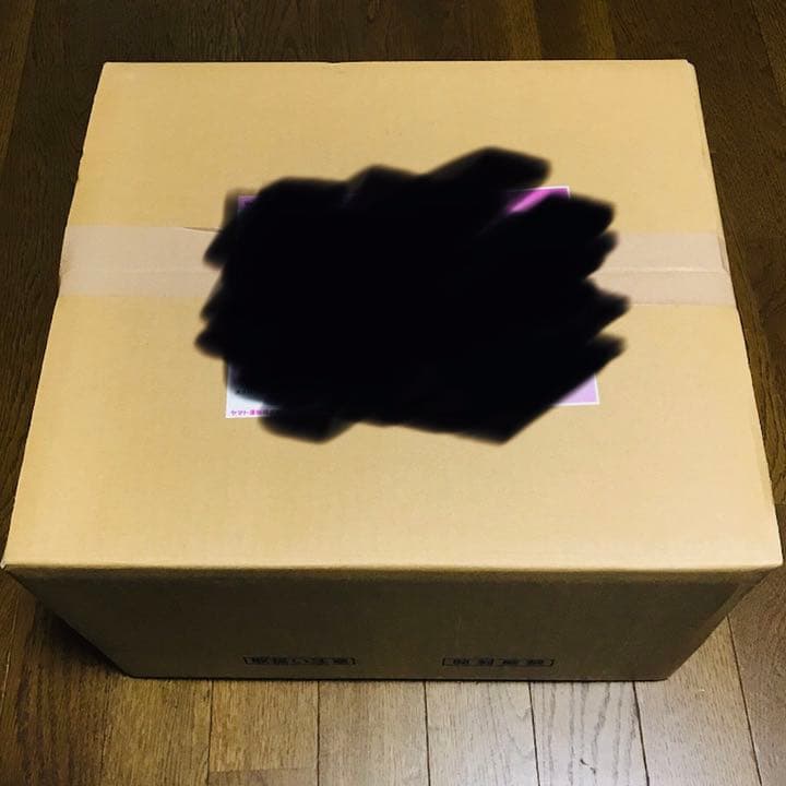 安室奈美恵　ドール　未開封　5体セット