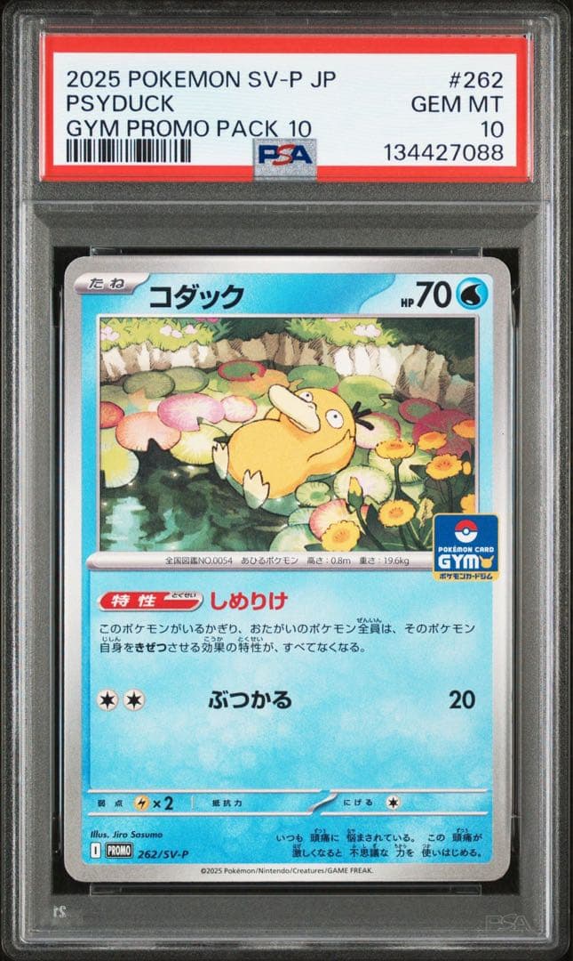 PSA10 連番 コダック プロモ 10弾