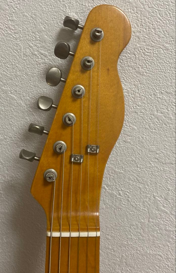 EDWARDS テレギブ　ESP