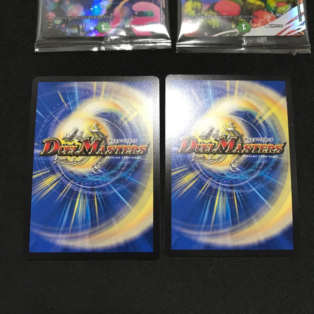 フェアリーライフ　神アート　ボーダーレス　春夏秋冬