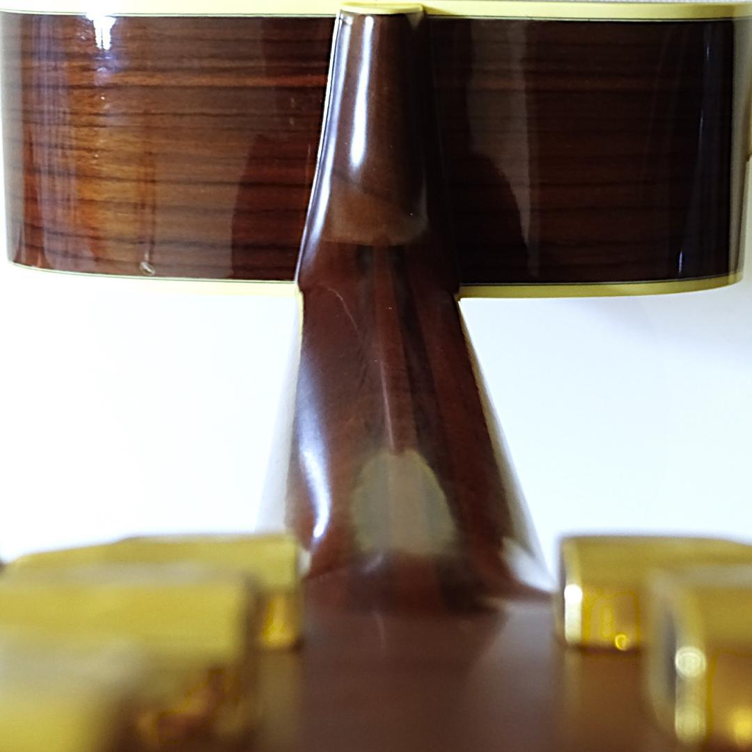 YAMAHA アコースティックギター LS6 A.R.E 専用ケース付き