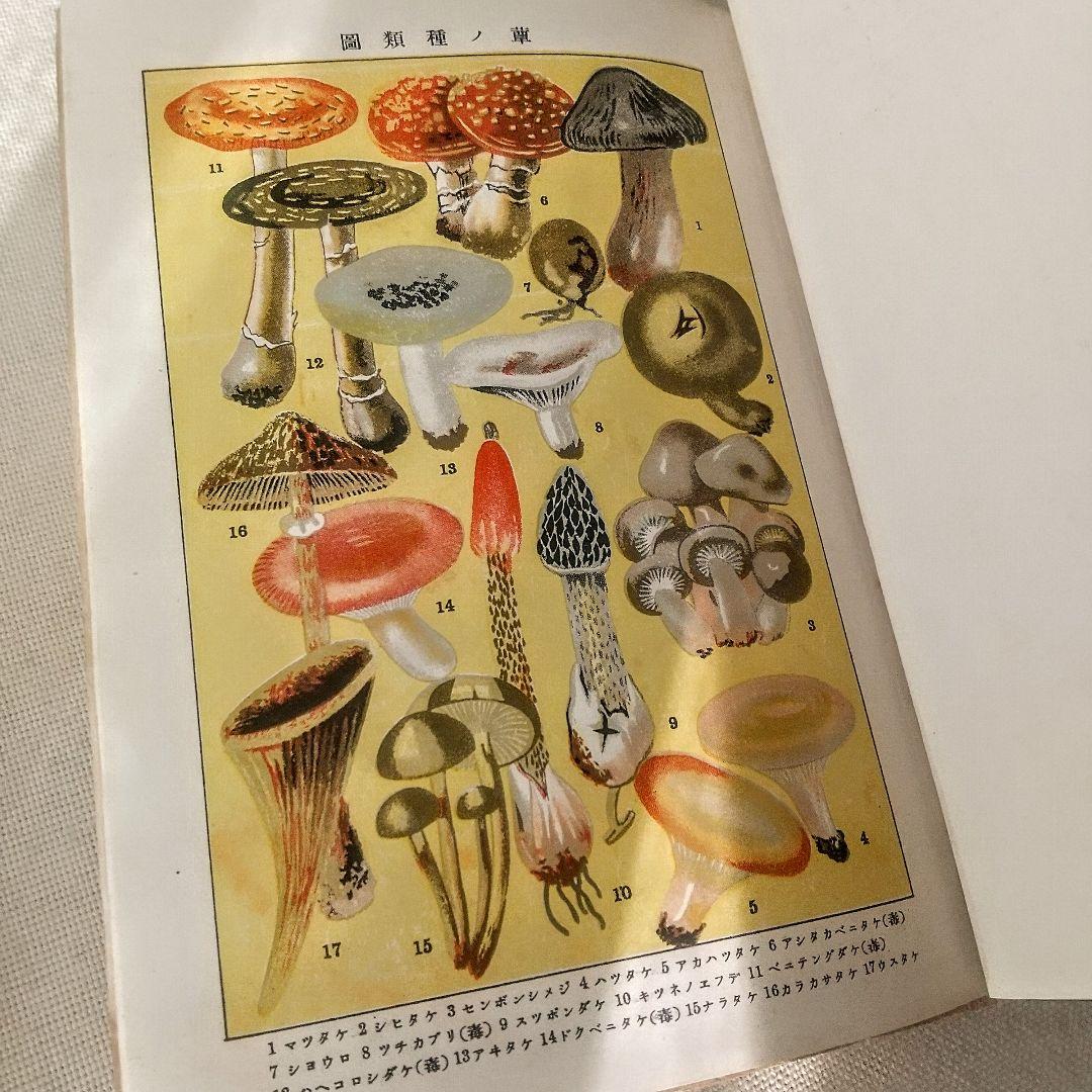 【戦前・初版本】大植物圖鑑　昭和十六年　らんまん・牧野富太郎ライバル　村越三千男