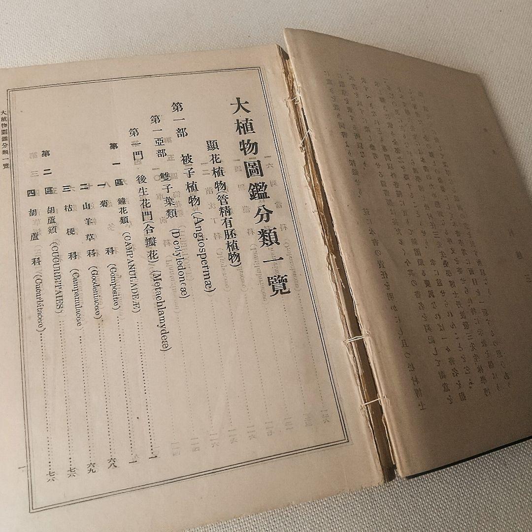 【戦前・初版本】大植物圖鑑　昭和十六年　らんまん・牧野富太郎ライバル　村越三千男