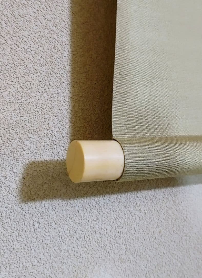 中村左洲　潮おどる鯛