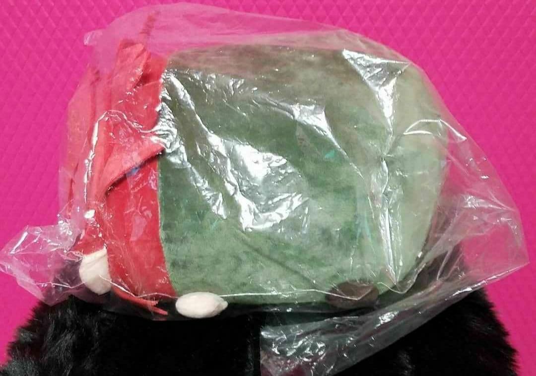 ジョジョ ぽてコロマスコットBIG 花京院典明 big3部 荒木飛呂彦JOJO