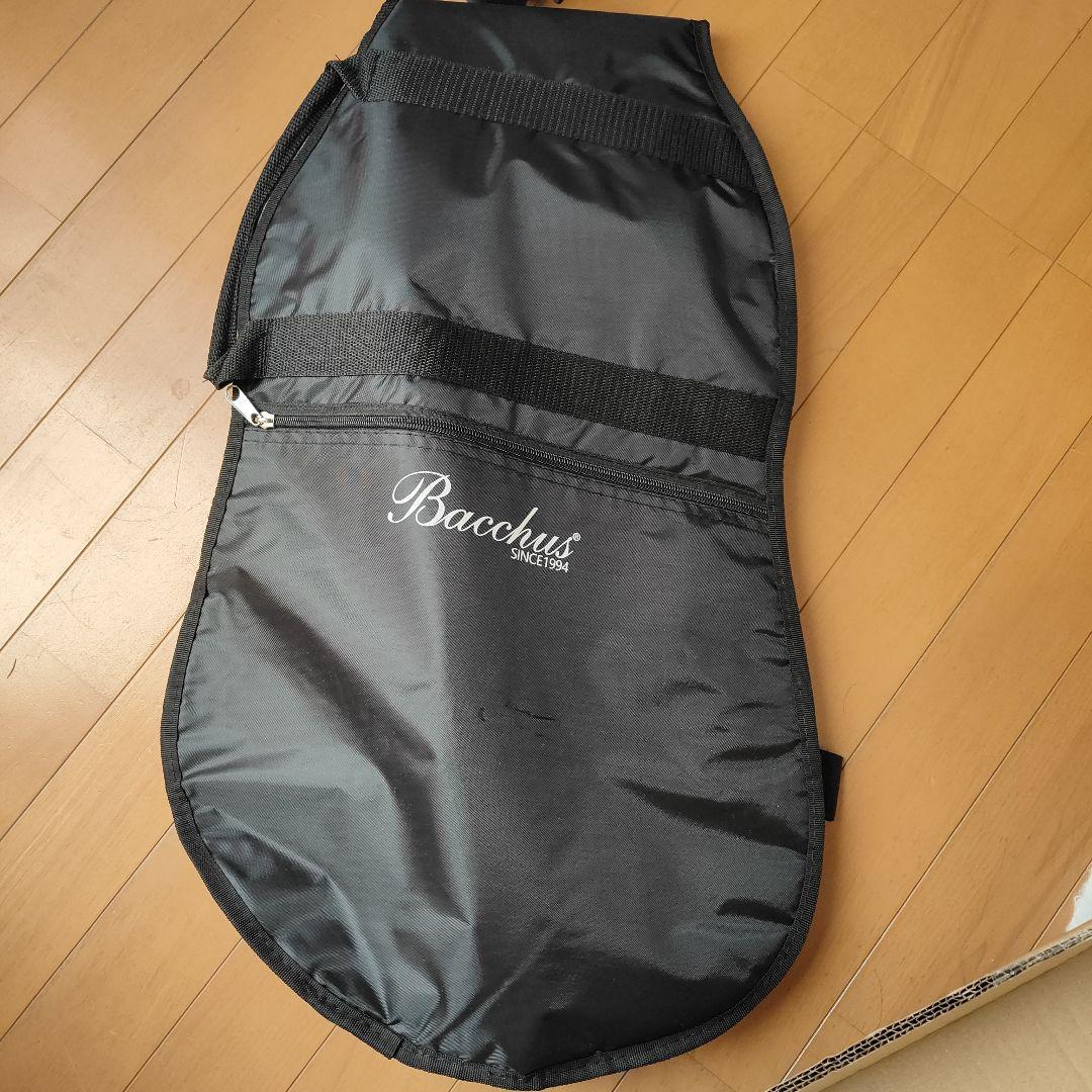 PLAYTECH テレキャスター ミントグリーン メイプルネック　ソフトケース付