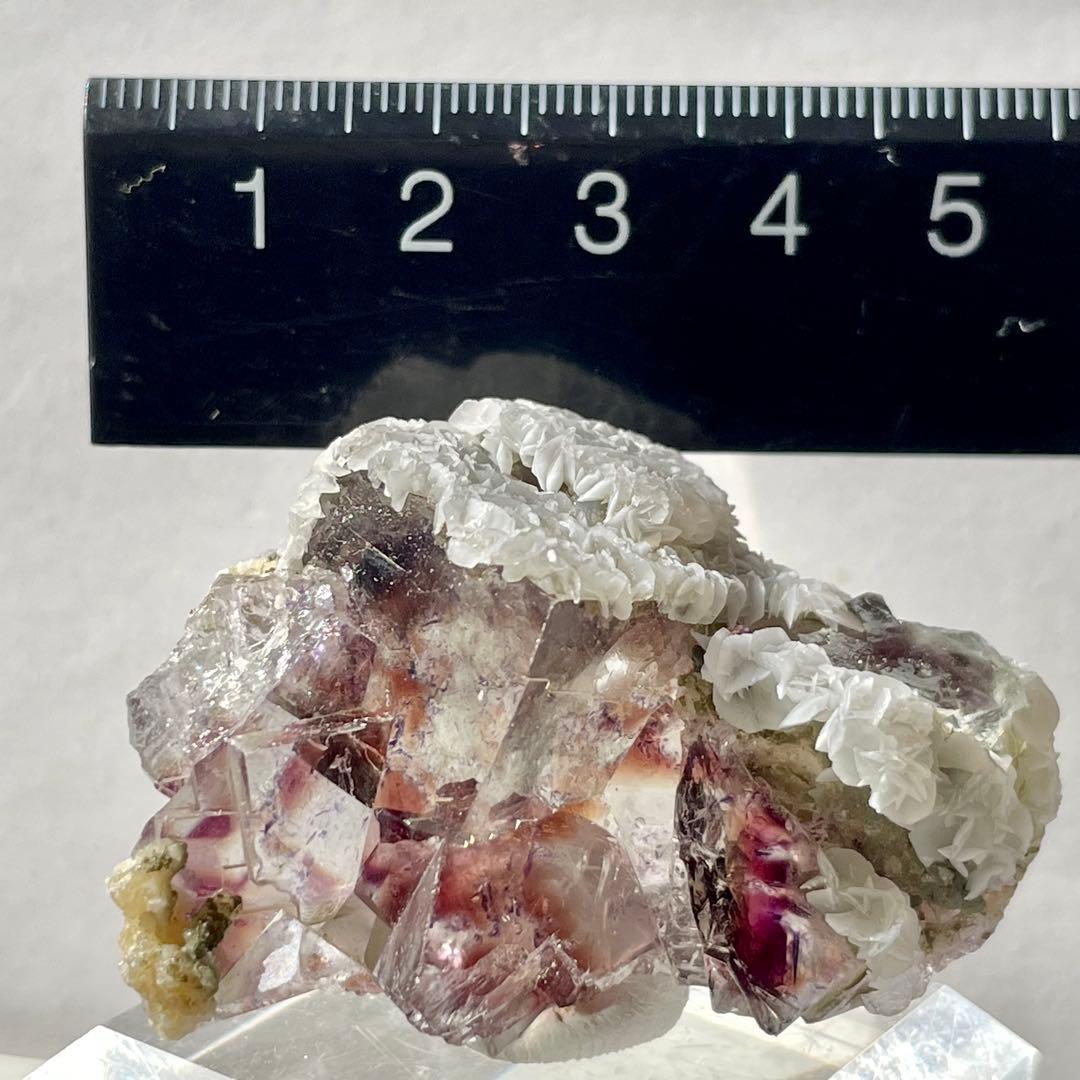 482 中国 内モンゴル産 フローライト