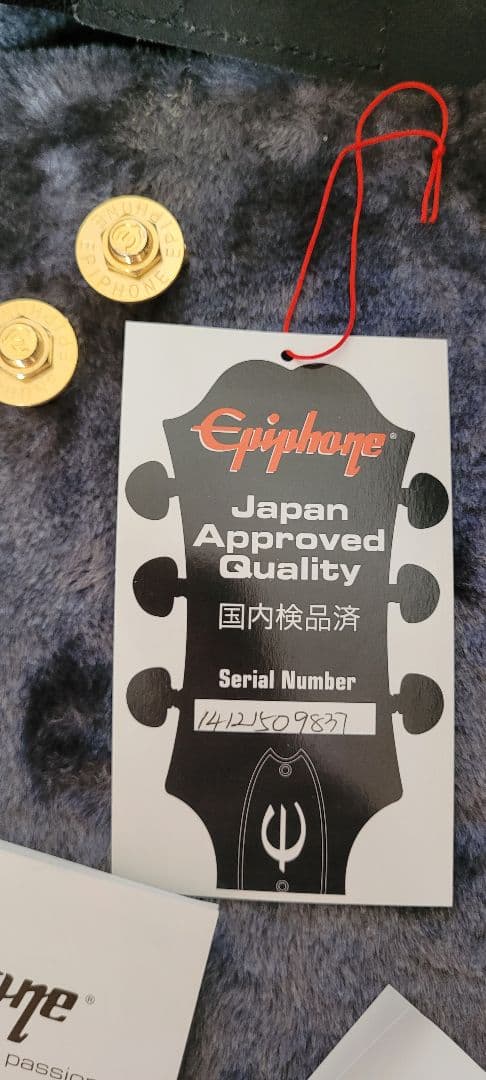 ギター Epiphone PROPHECY PLUS LES PAUL CUSTOM