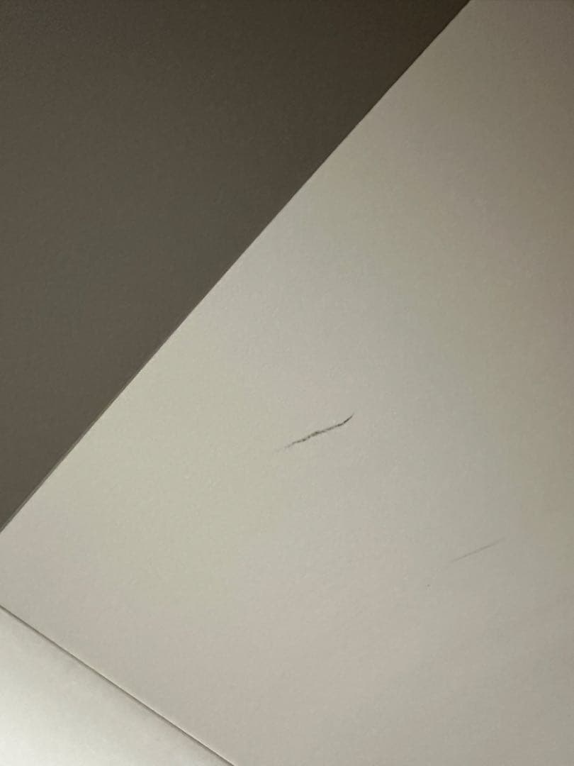 nello ペットドライルーム