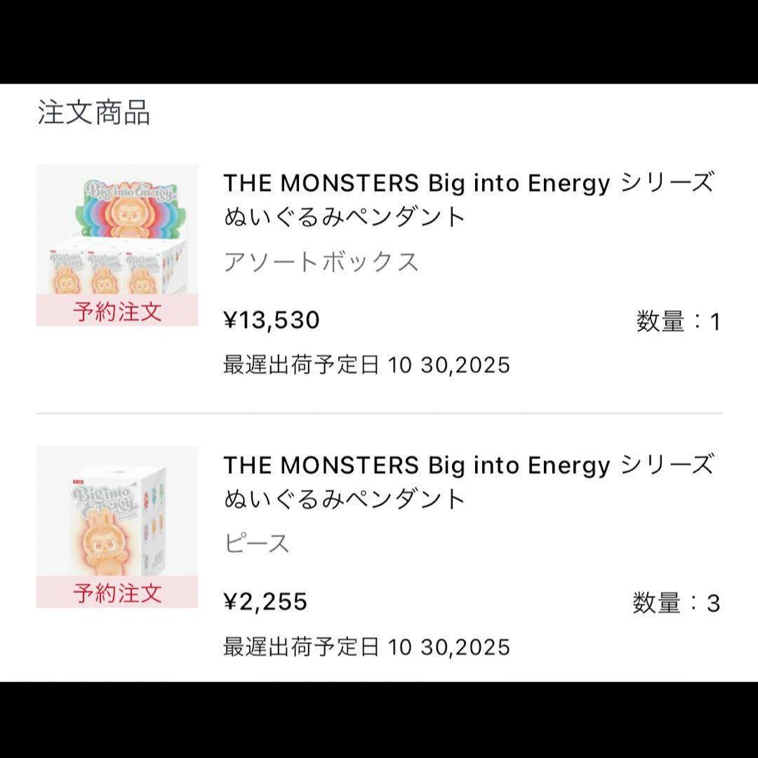 [正規品] LABUBU ラブブ Big intoEnergy 2種 本物確認済