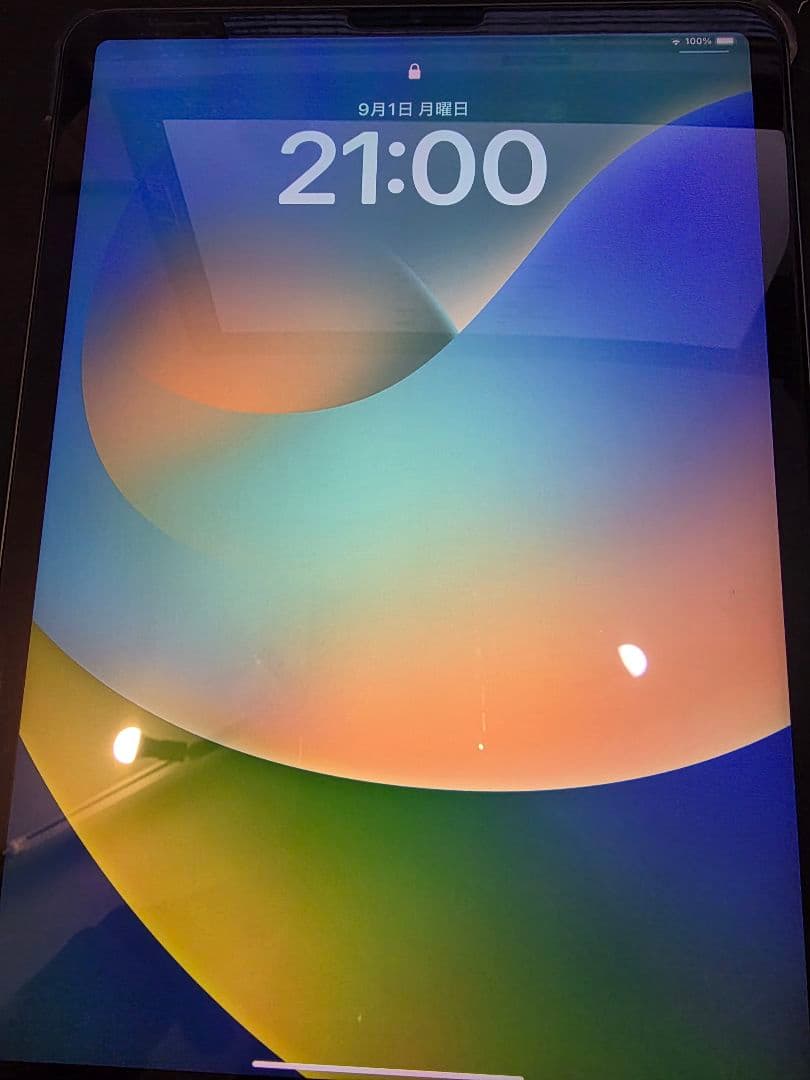 Apple iPad Pro (11インチ) 第3世代 256GB