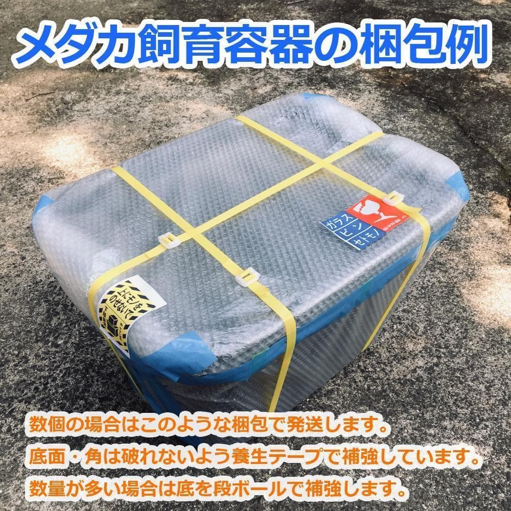 メダカ飼育ケース 56㍑x5個 白黒灰あり オーバーフロー加工済 金魚飼育容器