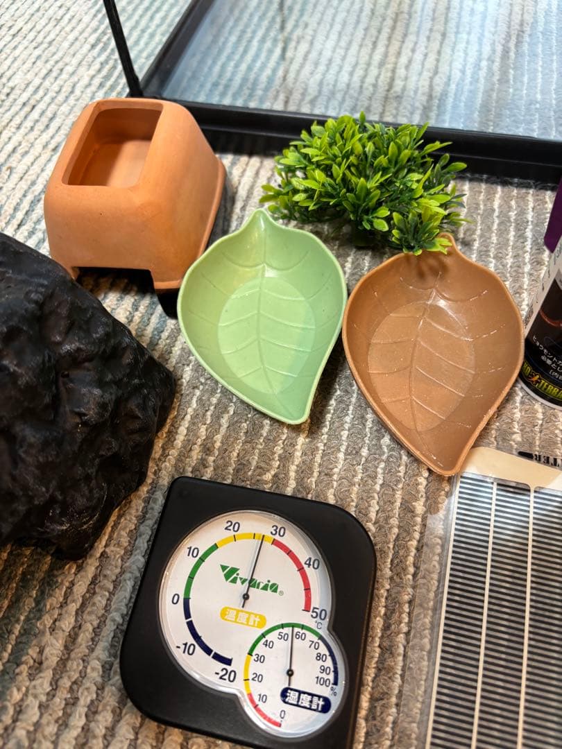 GEX EXOTERRA グラステラリウム3030 飼育ゲージ ガラスケース