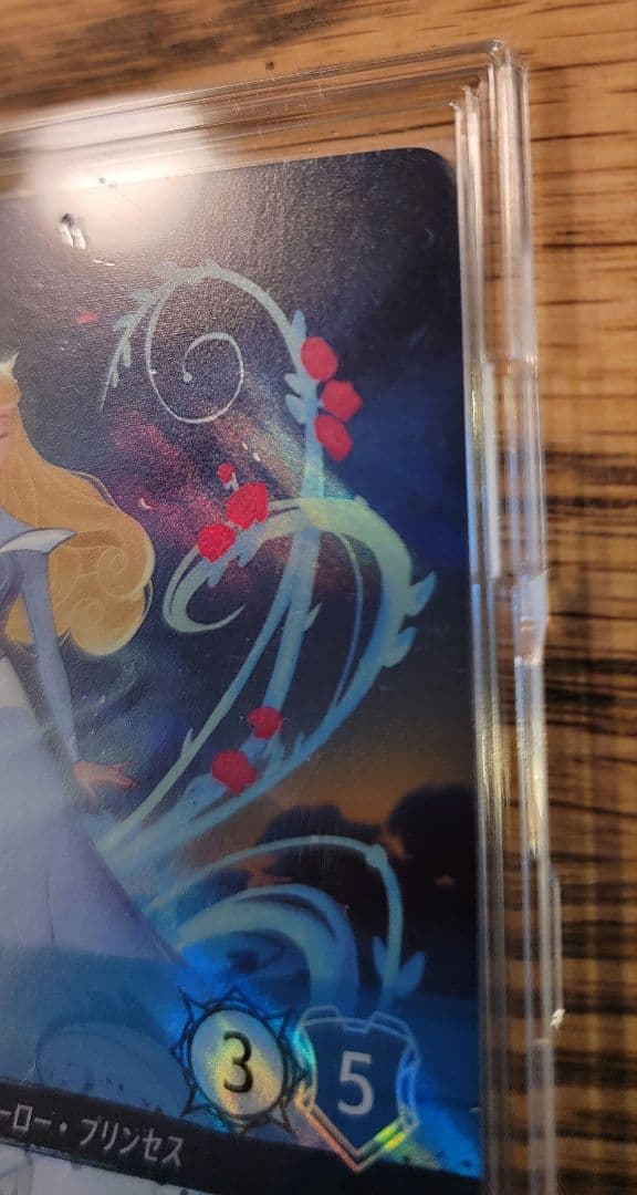 ディズニーロルカナ　エンチャンテッド オーロラ